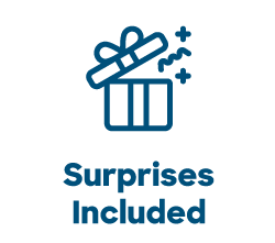 FF_Surprises.png__PID:e78eb03a-34a0-41ec-8bb8-3dad9e5ce0ad